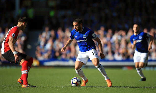 本身的社会 本身的社会