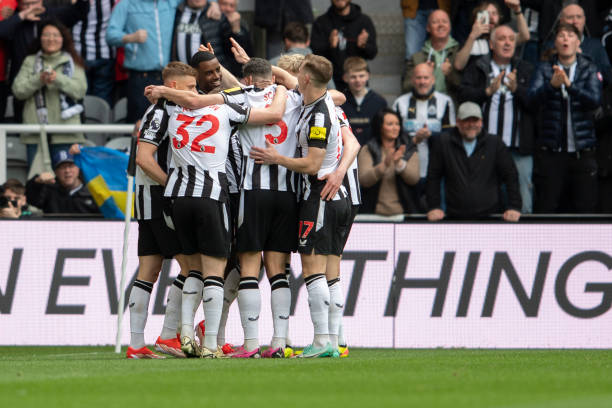 拥有一种新 拥有一种新