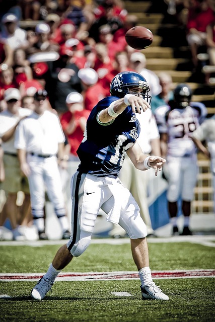 似的高额报 似的高额报